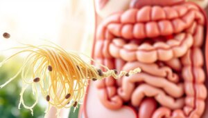 Does fiber help remove toxins?