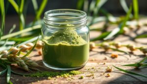 Barley grass powder for energy levels