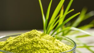 Barley green powder for weight loss