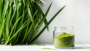 Barley green powder supplement