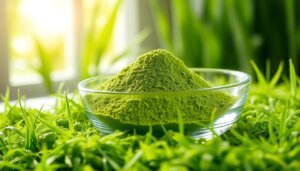 BarleyGreen powder benefits